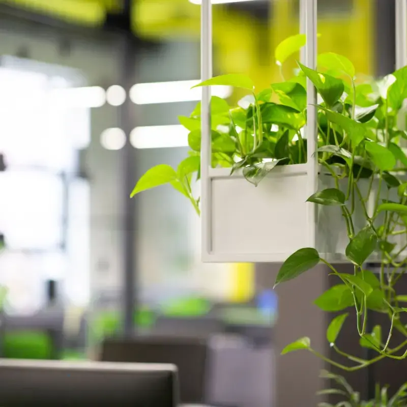 Jak stworzyć harmonijną aranżację zieleni w biurze?