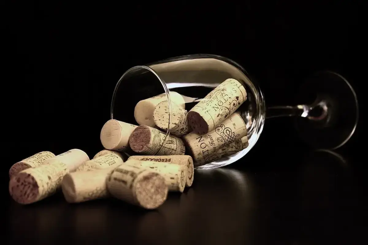 Jakie są właściwości wina? Odkryj kluczowe informacje o tym aromatycznym napoju!