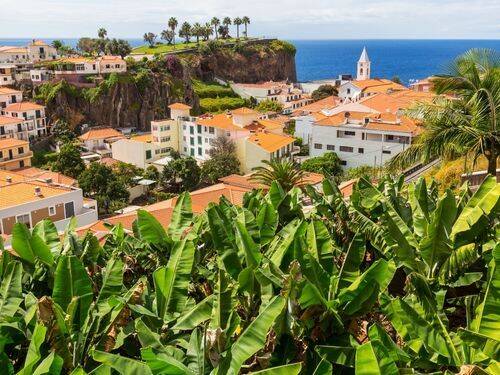 Przekonujące powody dla których powinieneś odwiedzić Zieloną Wyspę Madera