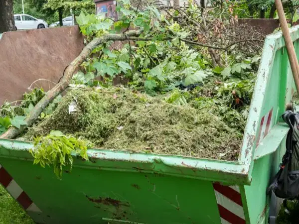 Ekologiczny sposób na utylizację odpadów zielonych w kontenerach