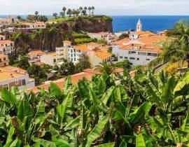 Przekonujące powody dla których powinieneś odwiedzić Zieloną Wyspę Madera